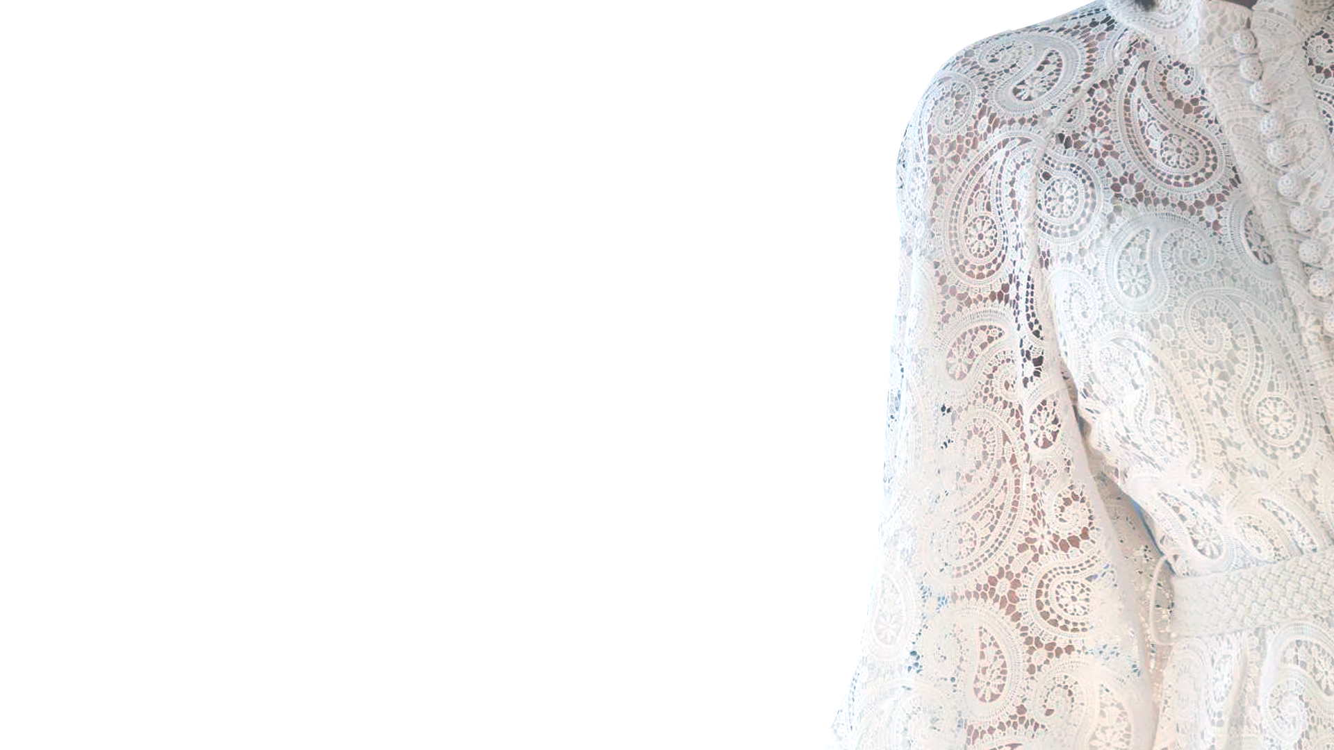 ALL-OVER (EMBROIDERED NET LACE)